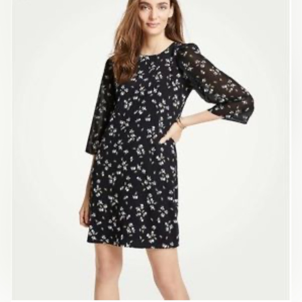 Ann Taylor Black Floral Black Dress